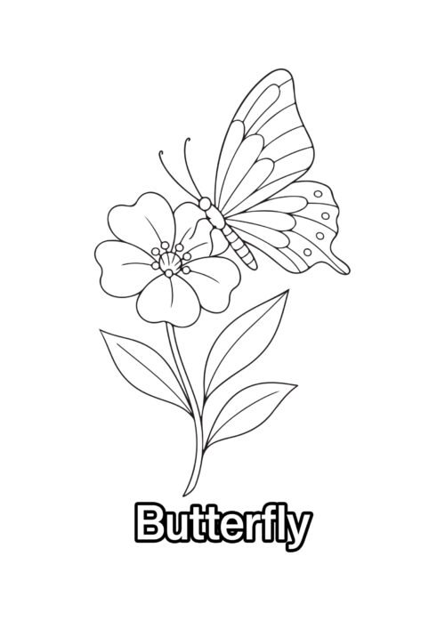 Butterfly on flower Coloring Page For Kids – Free Activity PDF Download