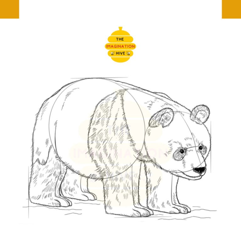 Step 8 for how to draw a panda