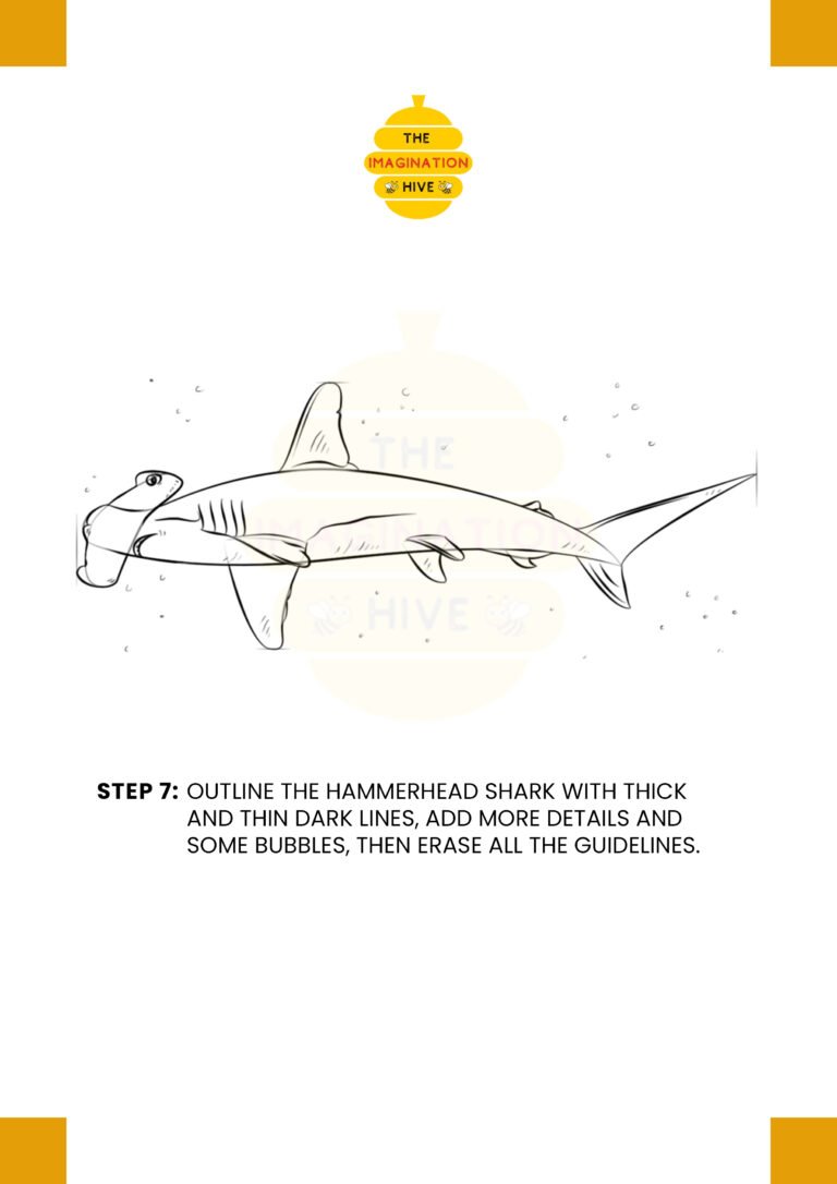 How to Draw Hammerhead Shark Step 7