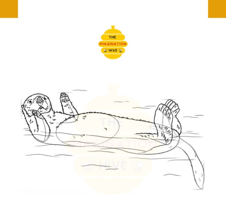 How to Draw a Sea Otter Step 7