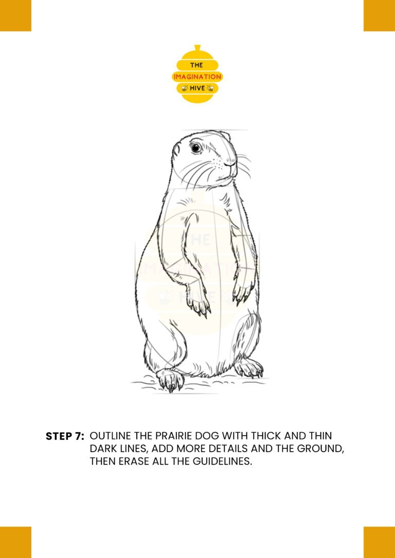 How to Draw a Prairie Dog Step 7