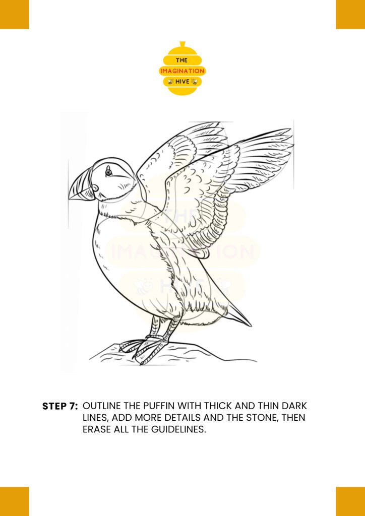 How to Draw a Puffin Step 7