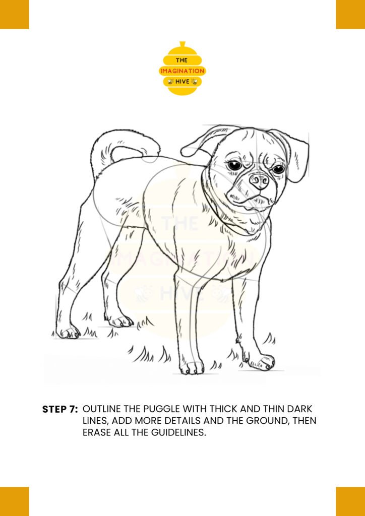 How to Draw a Puggle Step 7
