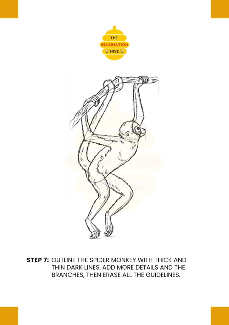 How to Draw a Spider Monkey Step 7