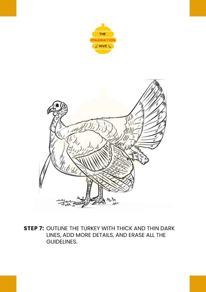 How to Draw a Turkey Step 7