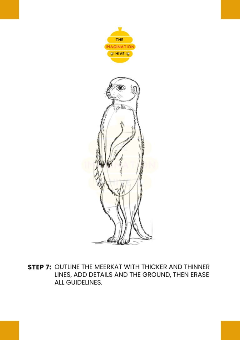 How to Draw a Meerkat Step 7