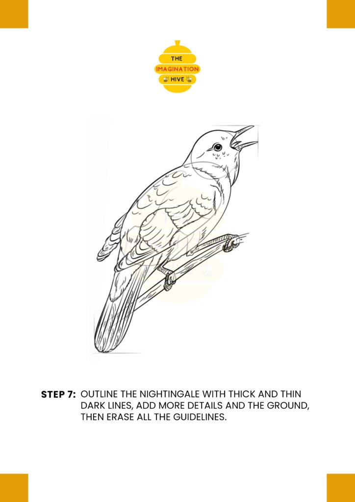 How to Draw a Nightingale Step 7