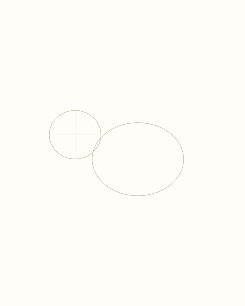 Step 2 : Outline the Body for a beaver