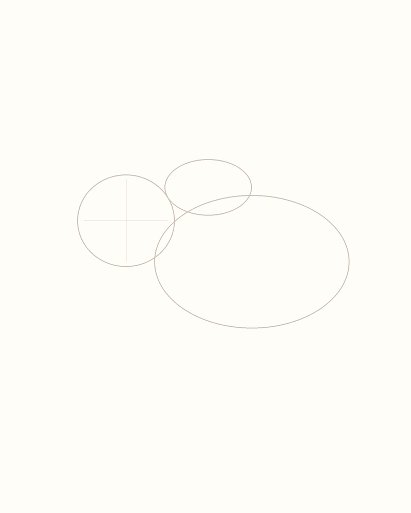Step 2 : Outline the Body for a bison