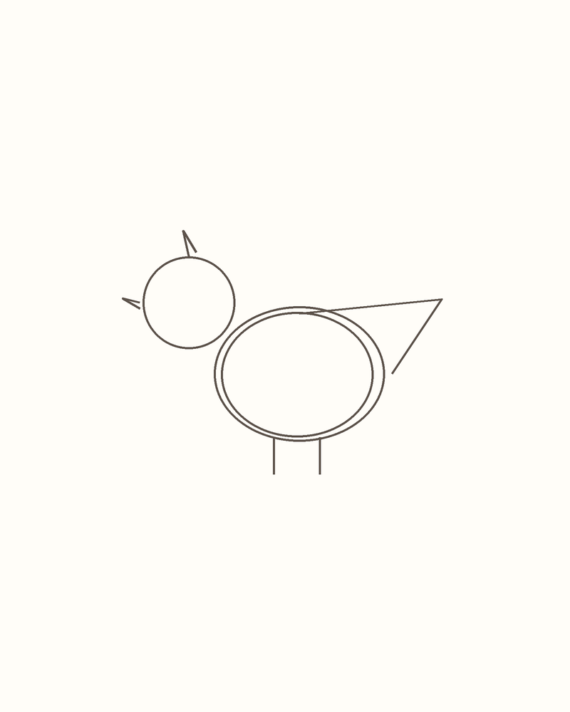Step 4 : Draw the Basic Shapes for a blue jay