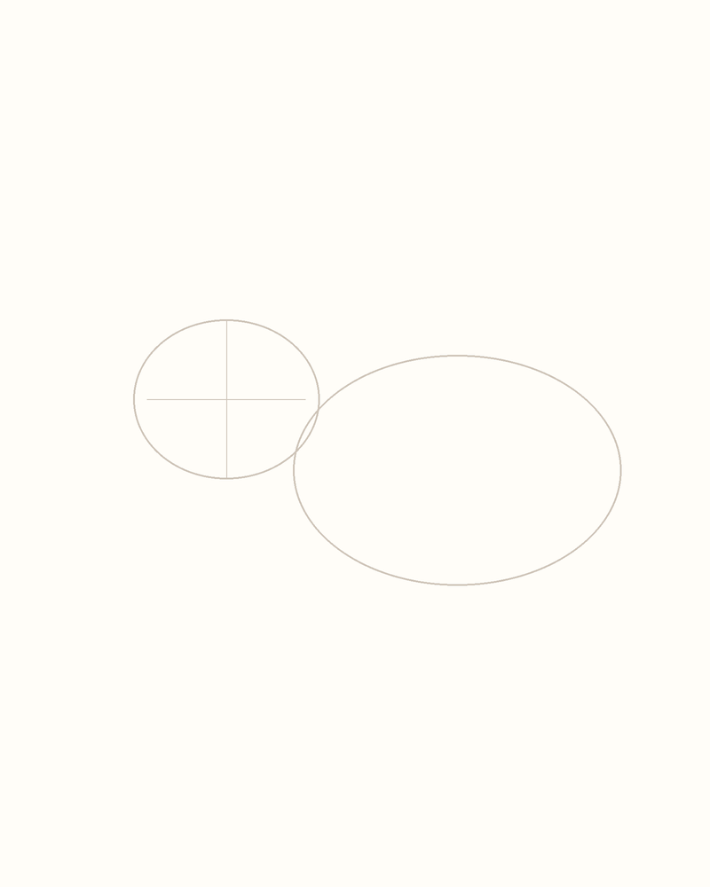 Step 2 : Outline the Body for a capybara