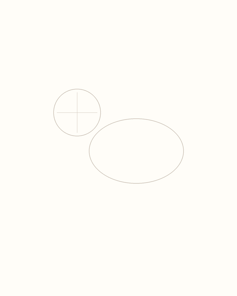 Step 2 : Outline the Body for a chameleon