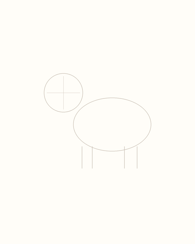 Step 3 : Add Guidelines for the Features for a chameleon