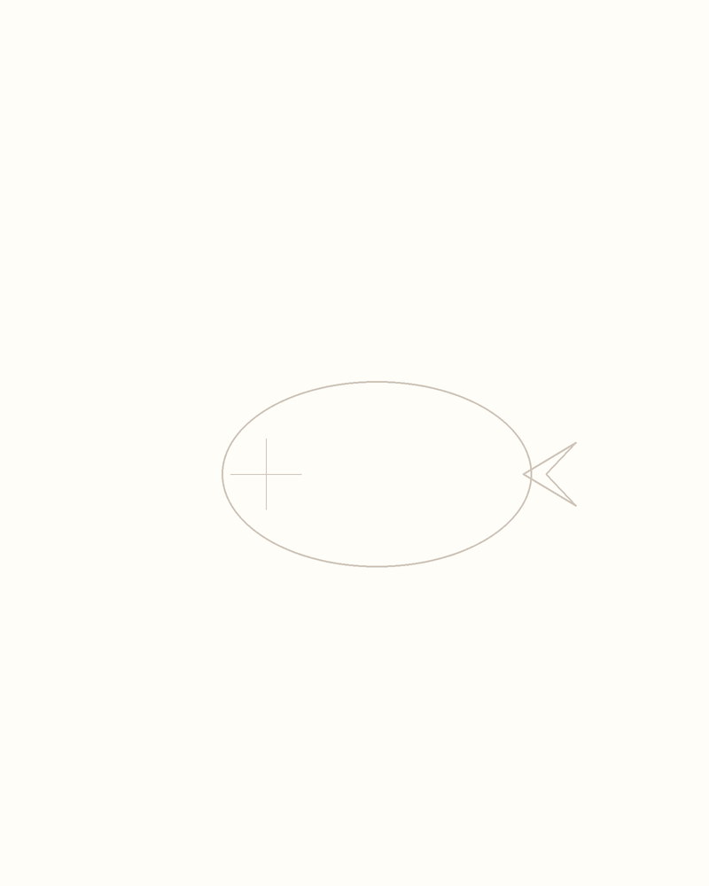 Step 3 : Add Guidelines for the Features for a clownfish