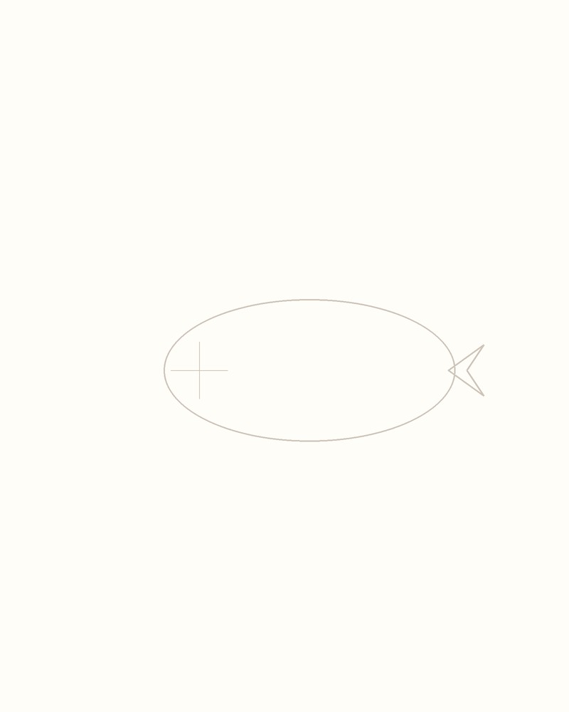 Step 3 : Add Guidelines for the Features for a dolphin