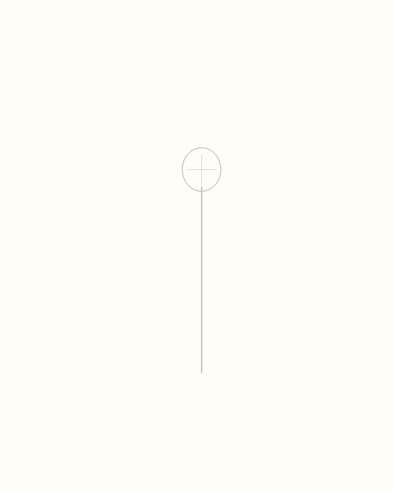 Step 3 : Add Guidelines for the Features for a dragonfly