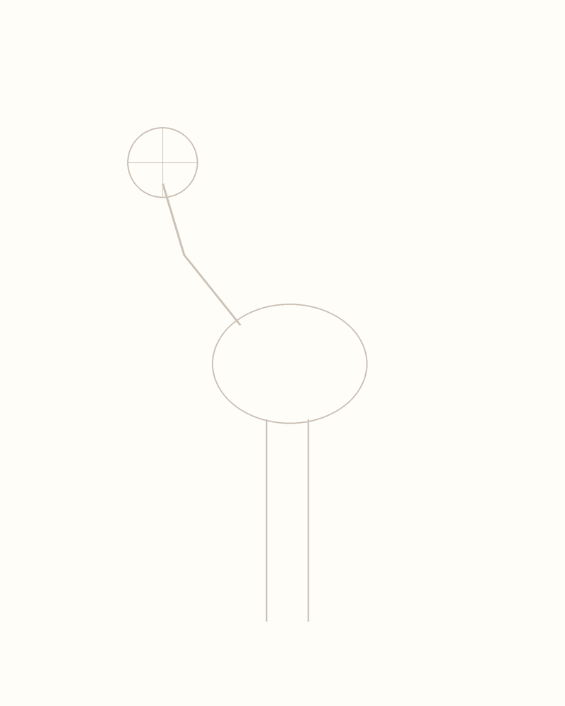 Step 3 : Add Guidelines for the Features for a flamingo