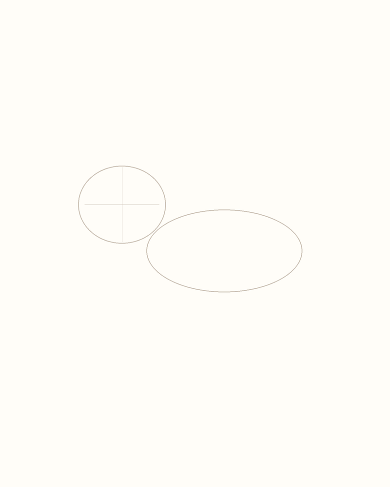 Step 2 : Outline the Body for a gecko