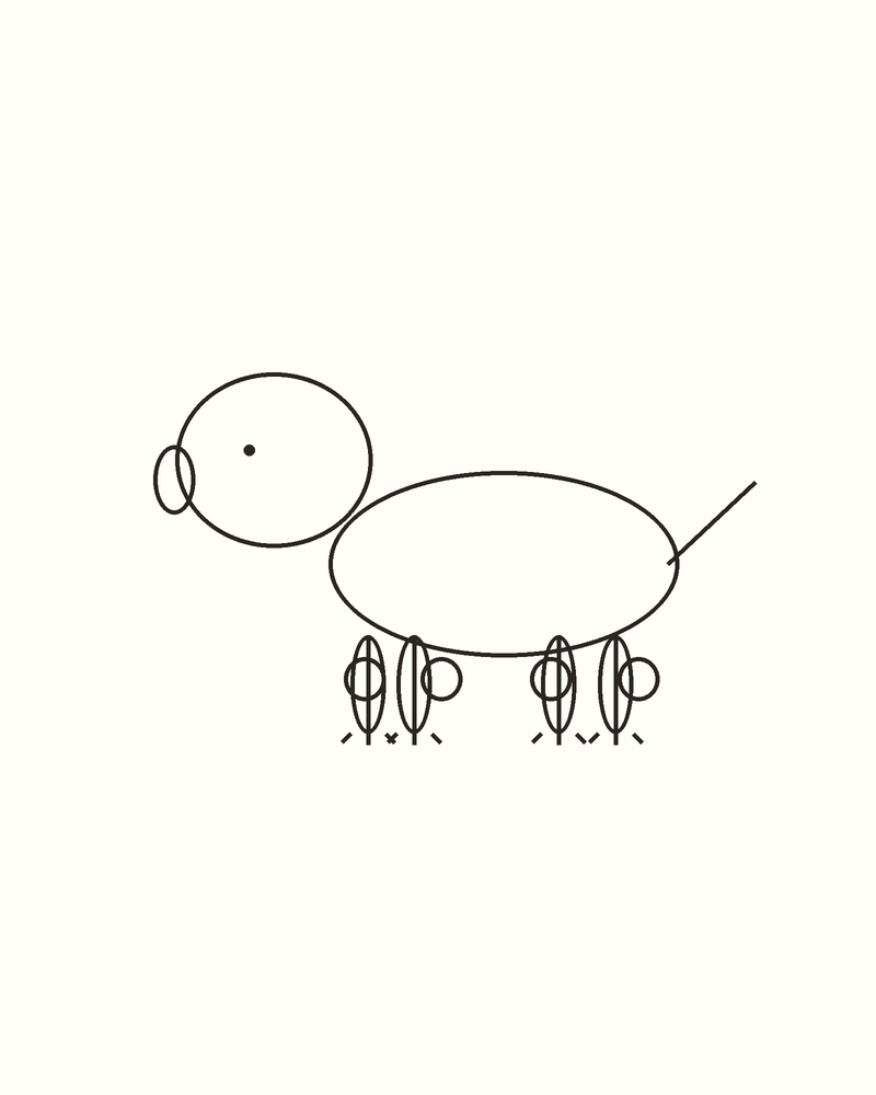 Step 6 : Refine the Whole Animal for a gecko
