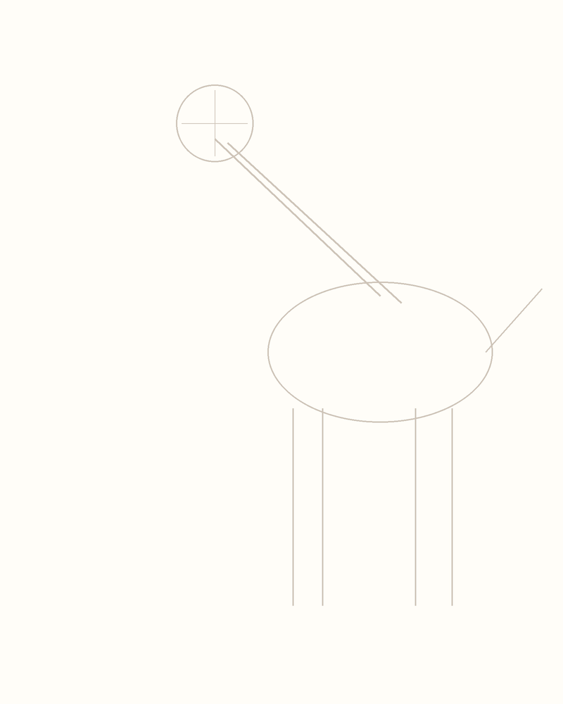 Step 3 : Add Guidelines for the Features for a giraffe