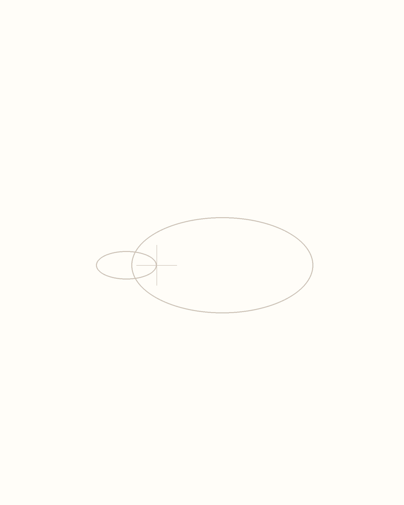 Step 2 : Outline the Body for a hammerhead shark