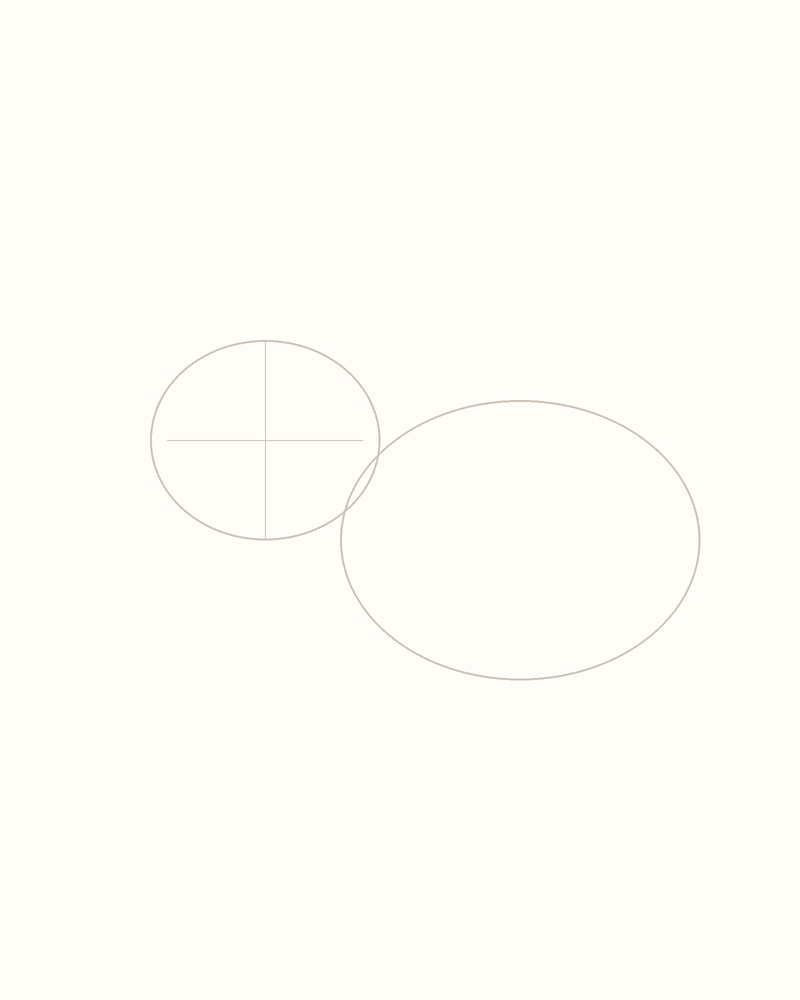 Step 2 : Outline the Body for a hippopotamus
