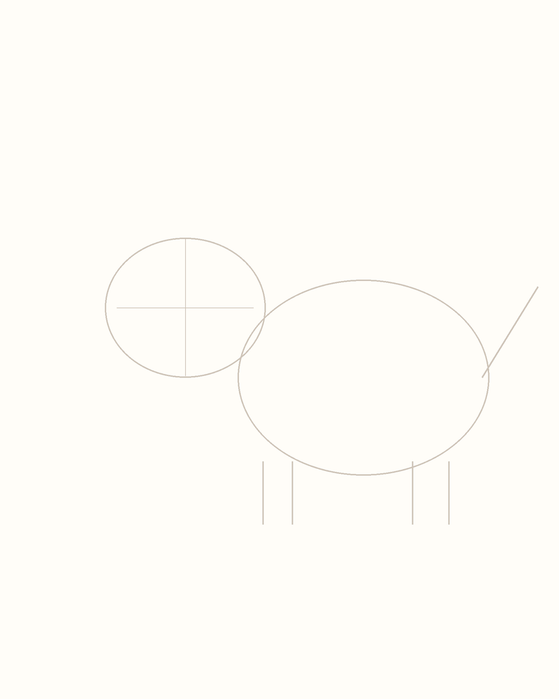 Step 3 : Add Guidelines for the Features for a hippopotamus