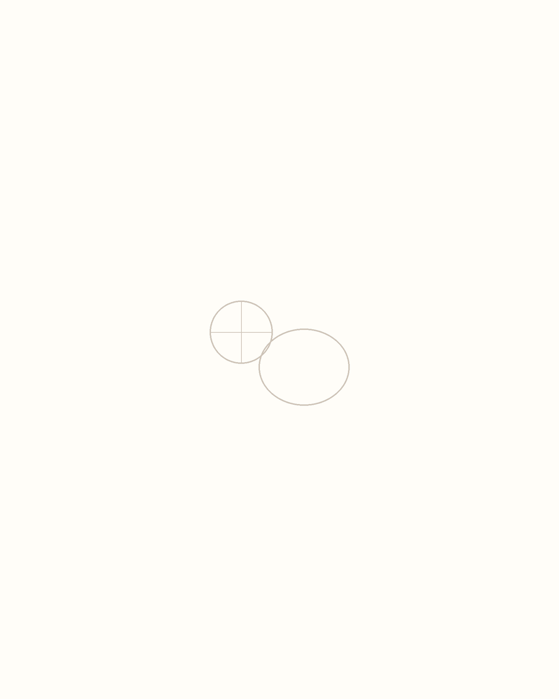 Step 2 : Outline the Body for a hummingbird