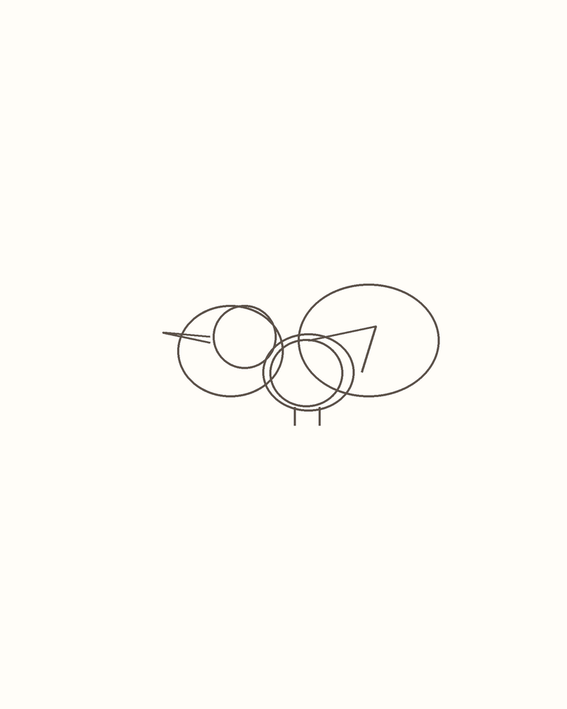 Step 4 : Draw the Basic Shapes for a hummingbird