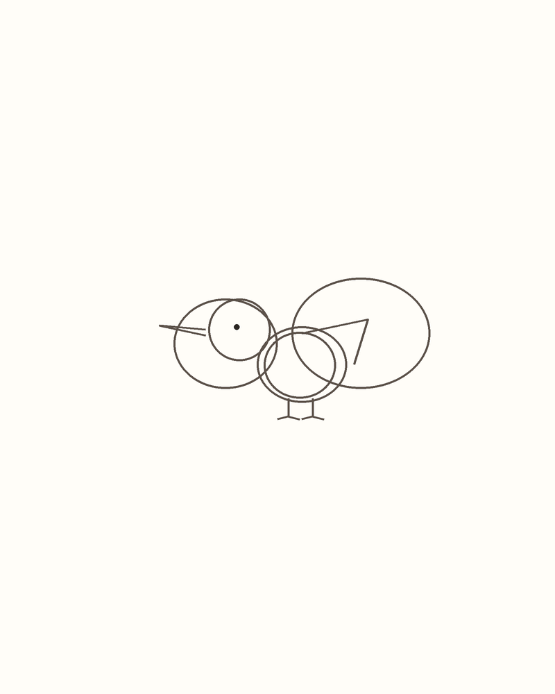 Step 5 : Add the Face and Limbs for a hummingbird
