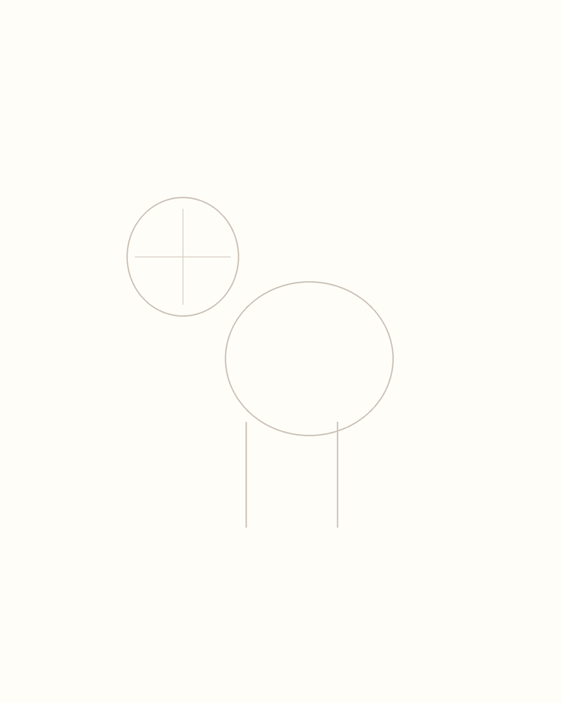 Step 3 : Add Guidelines for the Features for a kangaroo