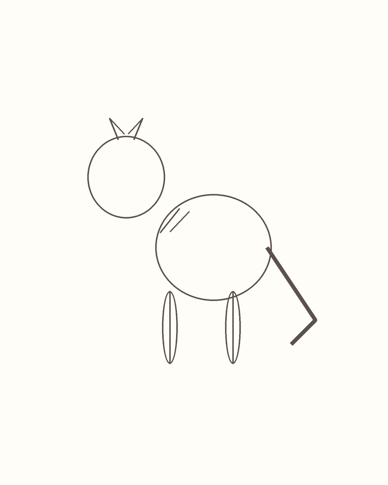 Step 4 : Draw the Basic Shapes for a kangaroo