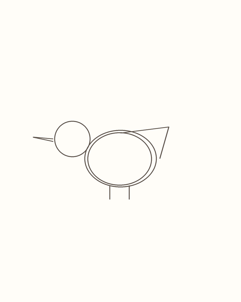 Step 4 : Draw the Basic Shapes for a kingfisher