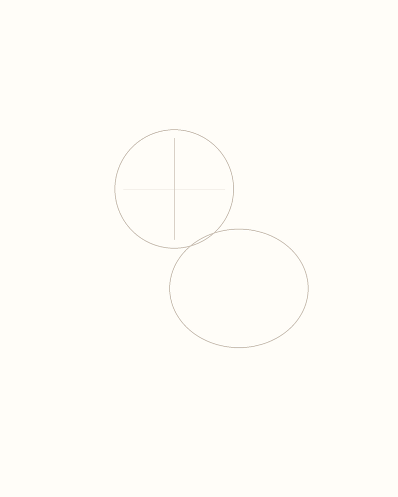 Step 2 : Outline the Body for a koala