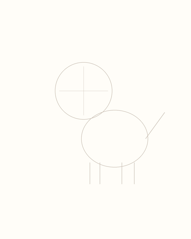 Step 3 : Add Guidelines for the Features for a koala