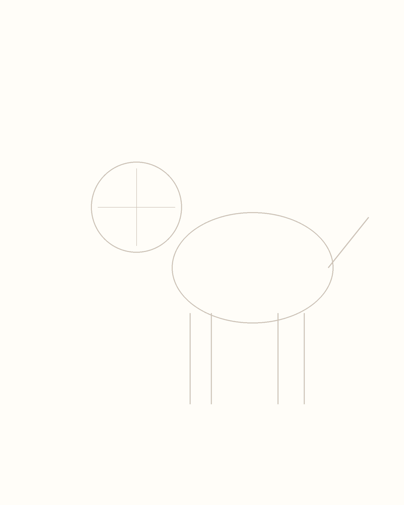 Step 3 : Add Guidelines for the Features for a lynx