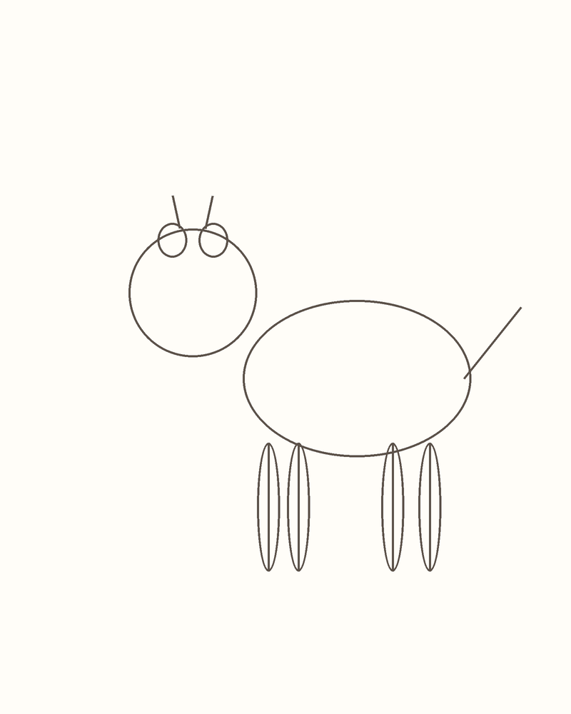 Step 4 : Draw the Basic Shapes for a lynx