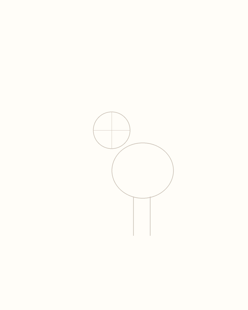 Step 3 : Add Guidelines for the Features for a peacock