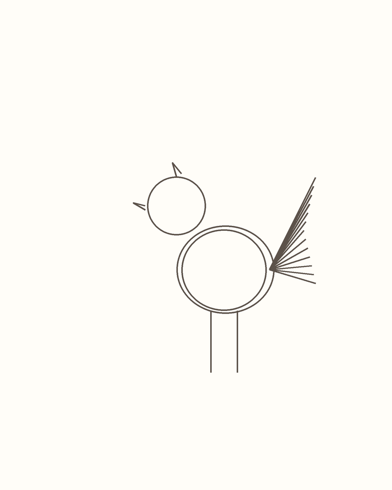 Step 4 : Draw the Basic Shapes for a peacock