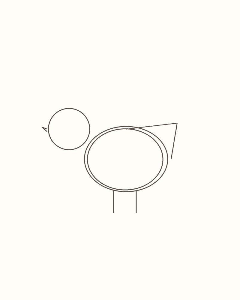 Step 4 : Draw the Basic Shapes for a pelican
