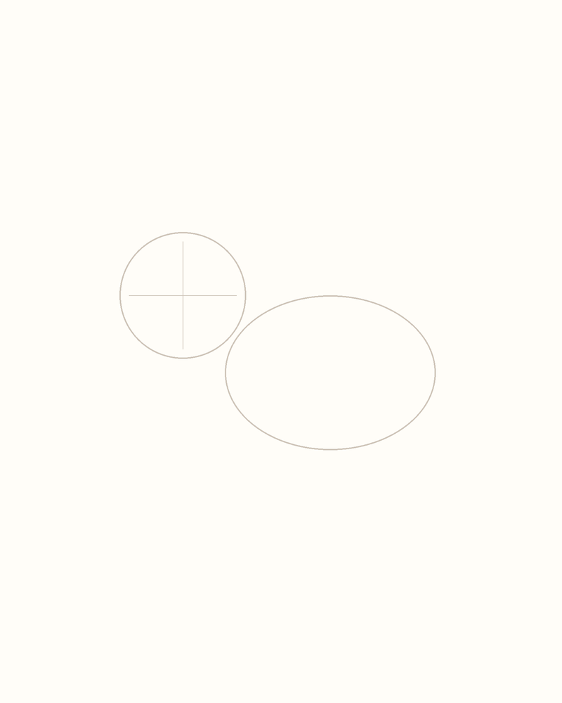 Step 2 : Outline the Body for a raccoon