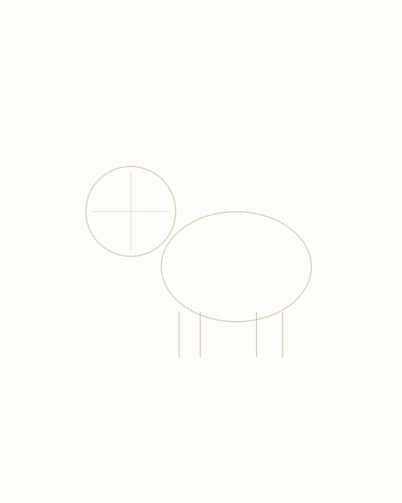 Step 3 : Add Guidelines for the Features for a raccoon
