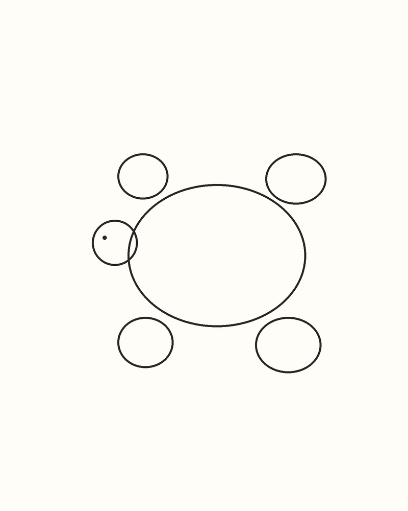 Step 6 : Refine the Whole Animal for a sea turtle