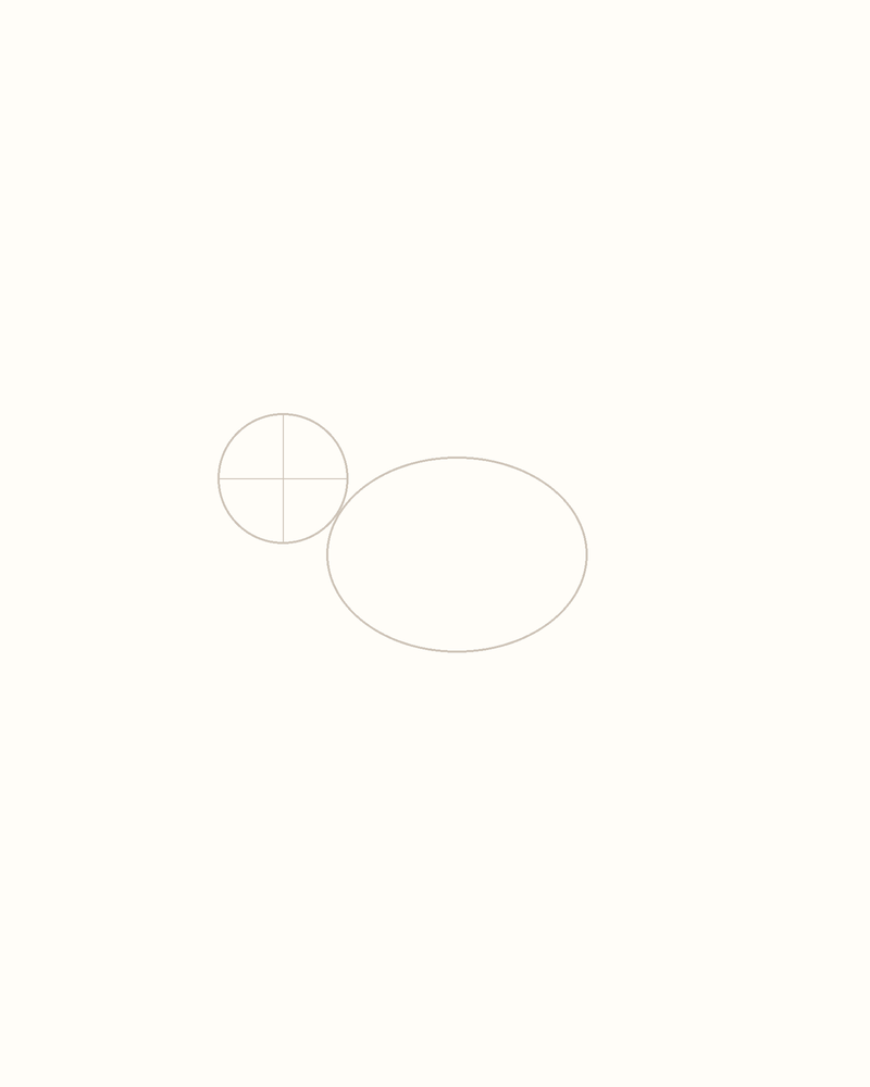 Step 2 : Outline the Body for a seagull