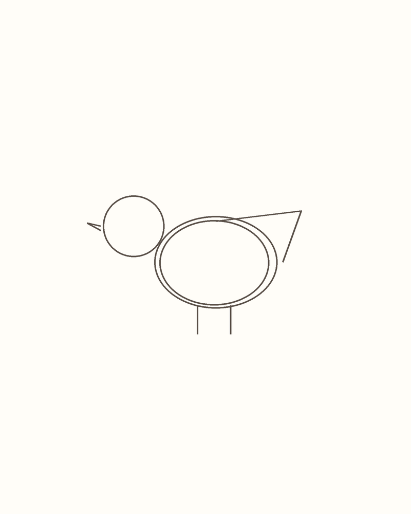 Step 4 : Draw the Basic Shapes for a seagull