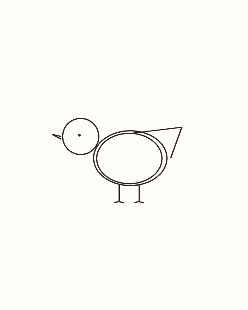 Step 6 : Refine the Whole Animal for a seagull