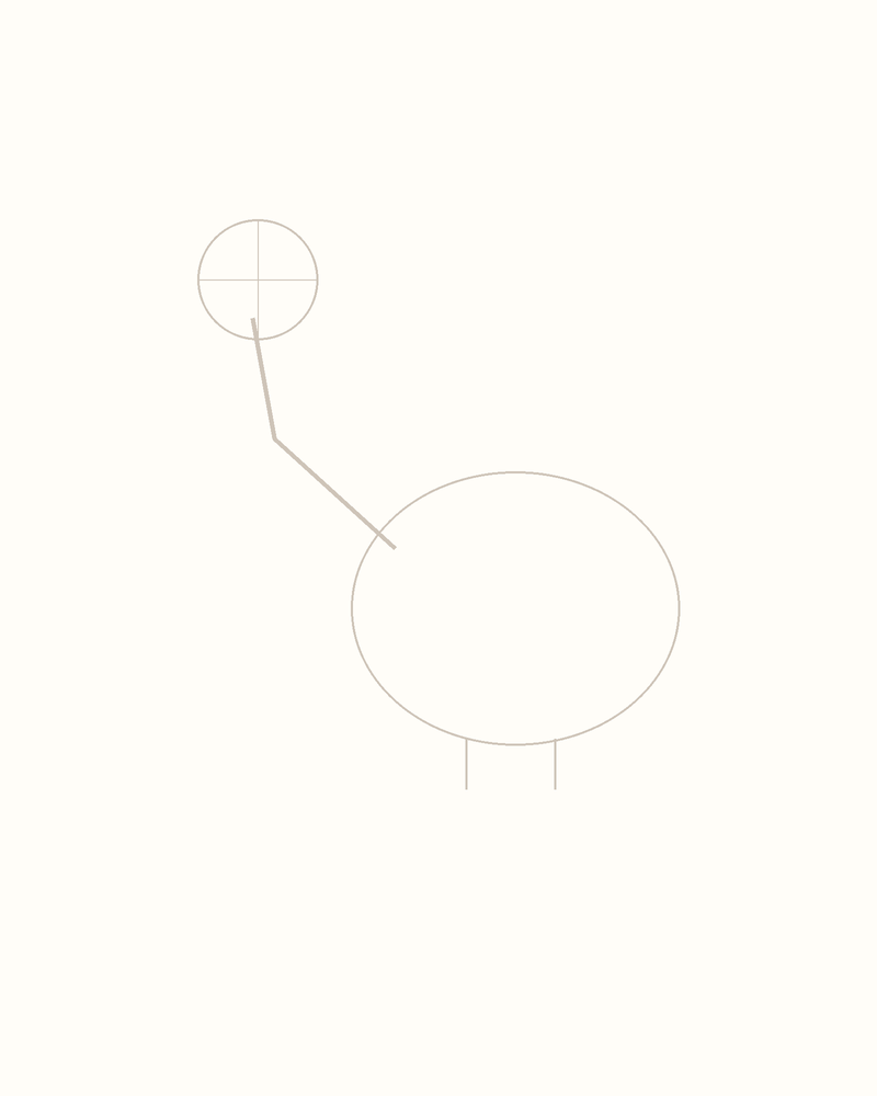 Step 3 : Add Guidelines for the Features for a swan