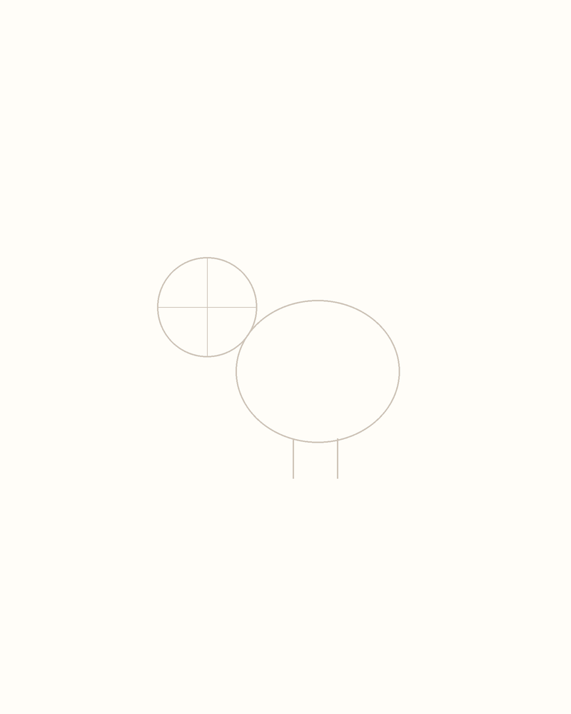 Step 3 : Add Guidelines for the Features for a toucan