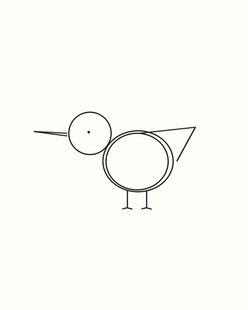 Step 6 : Refine the Whole Animal for a toucan