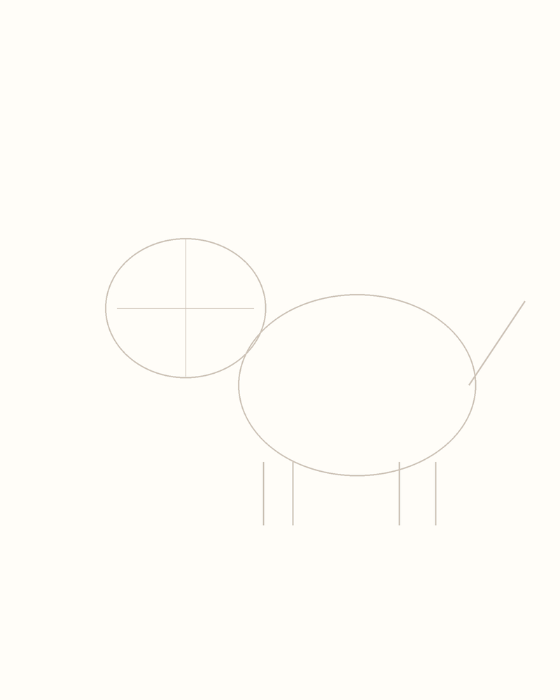 Step 3 : Add Guidelines for the Features for a walrus
